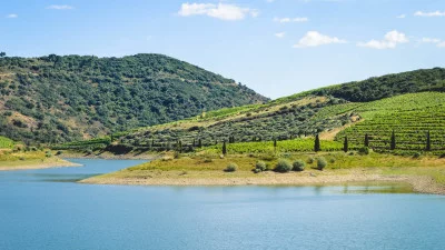 Thumbnail Boat Tour and Sunset in Douro from Quinta da Vineadouro