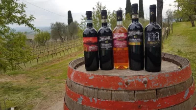 Thumbnail Besuch des Weinkellers und Verkostung von 3 Musico-Weinen in Montalcino