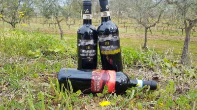 Thumbnail Visita a la bodega y degustación de 3 vinos Musico en Montalcino