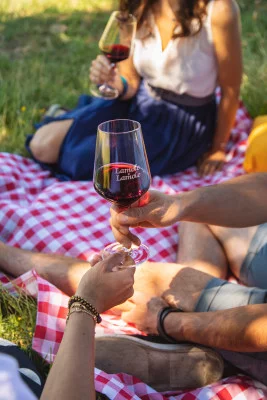 Thumbnail Pic-Nic en los viñedos de Lamole di Lamole