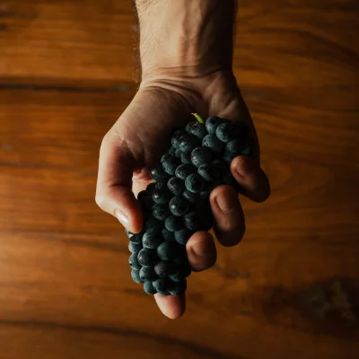 Thumbnail Degustación de Franciacorta "Pinot Nero" en Le Marchesine