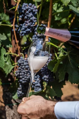 Thumbnail Franciacorta Verkostung "Pinot Nero" in Le Marchesine