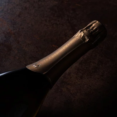 Thumbnail Degustazione di Franciacorta "La Punta di Diamante: Secolo Novo" presso Le Marchesine