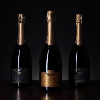 Thumbnail Degustazione di Franciacorta "La Punta di Diamante: Secolo Novo" presso Le Marchesine