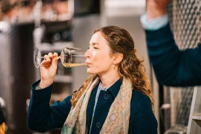 Thumbnail Lujosa Ruta del Vino por el Valle de Wachau con Almuerzo Gourmet y Catas Premium desde Viena