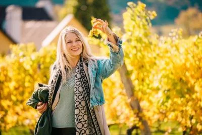 Thumbnail Lujosa Ruta del Vino por el Valle de Wachau con Almuerzo Gourmet y Catas Premium desde Viena
