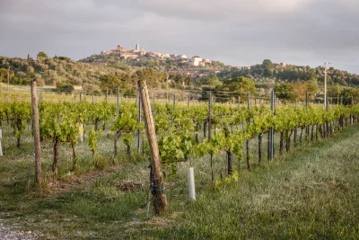 Thumbnail Dégustation de vins essentiels d'Acquaviva