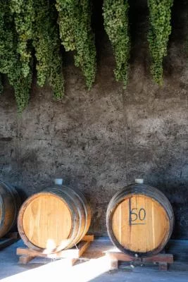 Thumbnail Terroir Weinprobe auf dem Weingut Menti