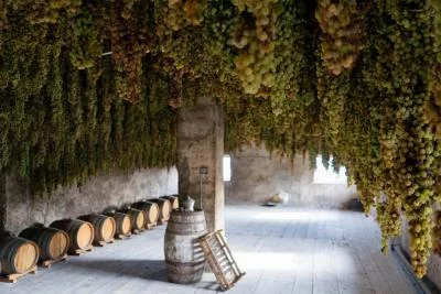 Thumbnail Terroir Wine Experience presso l'Azienda Agricola Giovanni Menti