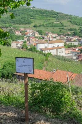 Thumbnail Terroir Wine Experience presso l'Azienda Agricola Giovanni Menti