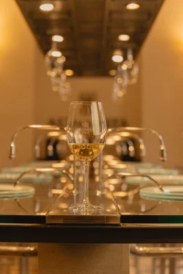 Thumbnail Ruta del Vino de Mendoza con Almuerzo