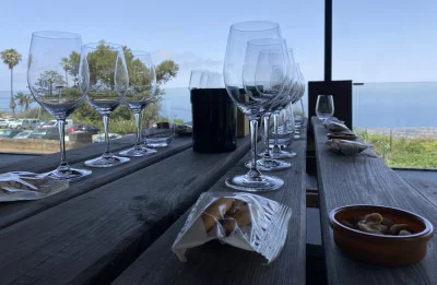 Thumbnail Wine tour nel nord di Tenerife con prelievo da Santa Cruz, La Laguna o Puerto de la Cruz
