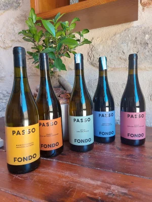 Thumbnail Tasting of 5 Tenute Baglio Passofondo labels in Sicily