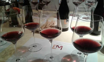 Thumbnail Randonnée privée sur les pierres bleues et dégustation de vin à partir de Sliven