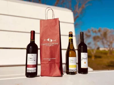 Thumbnail Degustazione di vini artigianali presso le Cantine Agricola Capone nell'area PIP