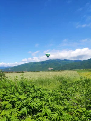 Thumbnail Excursion privée d'une journée dans la vallée de Thrace avec dégustation de vins et transfert depuis Sofia