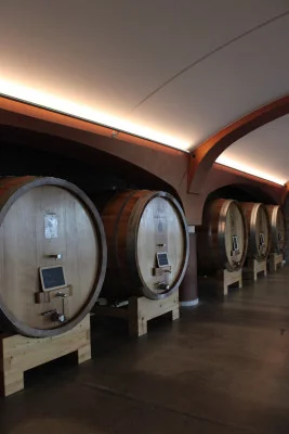 Thumbnail Wine experience de lujo en la bodega Fratelli Rapalino