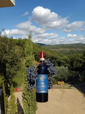 Thumbnail Brunello, Super Tuscan et saveurs toscanes à la cave La Togata à Montalcino