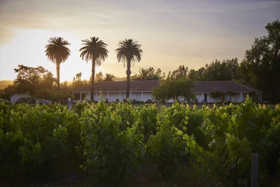 Thumbnail Iconic Wine Tour at Viña Maquis