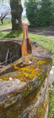 Thumbnail Entdecke die Bio-Weine von Château Monichot in Côtes de Bourg