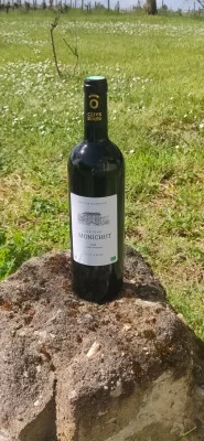 Thumbnail Discover Organic Wines of Château Monichot in Côtes de Bourg