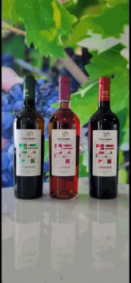 Thumbnail I tesori di San Martino in Pensilis alle Cantine Catabbo