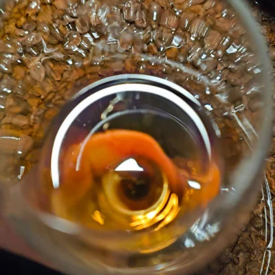 Thumbnail Dégustation de vin VIP - Expérience authentique à la cave et à la distillerie Ana Naglich