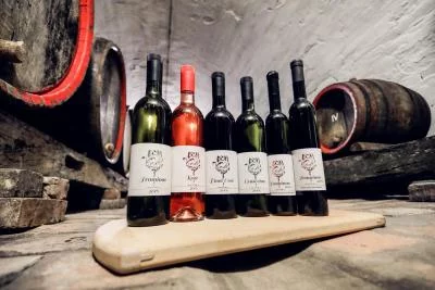 Thumbnail Dégustations de vin à Ilok à la cave Vinar
