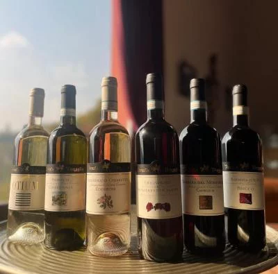 Thumbnail Fresh & Bright: Steel-Aged Wine Experience at Tenuta Tenaglia