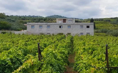 Thumbnail Ruta del Vino de Lujo de un Día Completo desde Atenas - Visita Dos Bodegas Exclusivas en Corintia