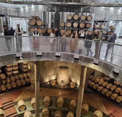 Thumbnail Desde Mendoza: Ruta del Vino del Valle de Uco - Arte, Sabor y los Andes