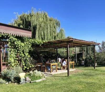 Thumbnail Desde Mendoza: Ruta del Vino del Valle de Uco - Arte, Sabor y los Andes