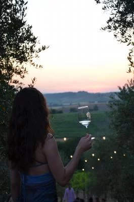 Thumbnail Wine tour classico presso la cantina Mazza nel Chianti Classico