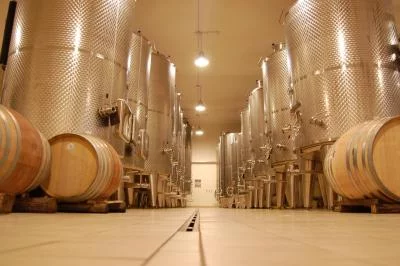 Thumbnail Ibla Legacy Wine & Olive Oil Tasting at Poggio di Bortolone