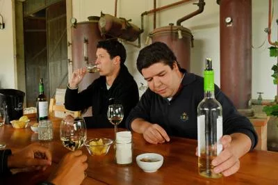 Thumbnail Full-Day Wine Tasting & Sightseeing Tour from Lisbon: Sesimbra and Arrábida National Park