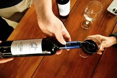 Thumbnail Full-Day Wine Tasting & Sightseeing Tour from Lisbon: Sesimbra and Arrábida National Park