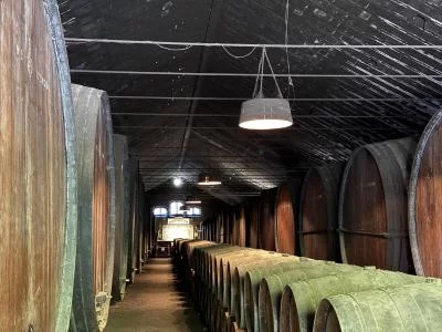 Thumbnail Degustazione di vino e tour turistico di un'intera giornata da Lisbona: Sesimbra e il Parco Nazionale di Arrábida