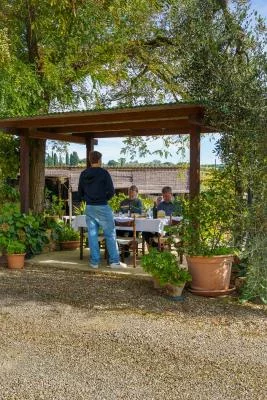 Thumbnail Visite d'une ferme dans le Chianti et dégustation d'huile d'olive au Podere La Fraschetta