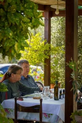 Thumbnail Tour farmhouse in Chianti and Olive Oil tasting at Podere La Fraschetta