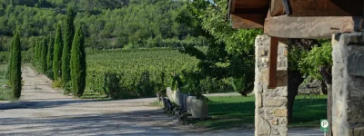 Thumbnail Association vin et chocolat - Expérience unique à Haut-Lirou au Pic Saint Loup, Languedoc