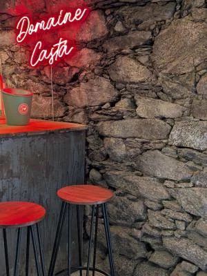 Thumbnail Organic Wine Tasting and Tour at Domaine Casta in Patrimonio