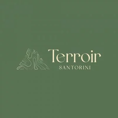 Thumbnail Esplora l'eleganza vulcanica di Santorini: 2 cantine con degustazione di vini e spuntini locali