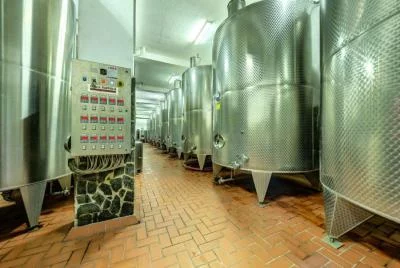 Thumbnail Weintour ab Plovdiv - Moderne Weinproben mit antiken Anklängen