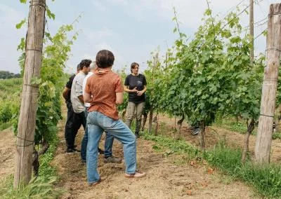 Thumbnail Supervisa y cata de vinos en Cascina Ciapat