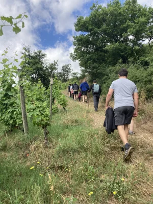 Thumbnail Wine & Hike between Côte-Rôtie and Condrieu