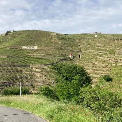 Thumbnail Expérience vin et randonnée entre Côte-Rôtie et Condrieu