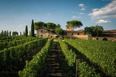 Thumbnail Découvre la Fattoria Viticcio au cœur du Chianti Classico : vin, patrimoine et tradition