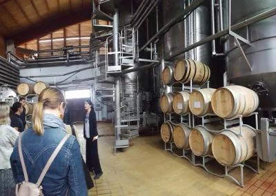 Thumbnail Excursion privée au départ de Cagliari : dégustation de vin, de fromage et d'huile d'olive