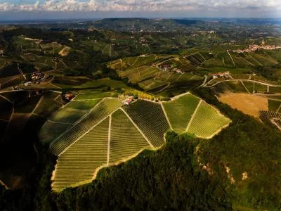 Thumbnail THE GREATS: 3 Iconic Wines Tasting with Langhe View in Serralunga d'Alba at Cascina Badarina