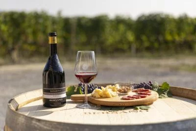 Thumbnail I GRANDI: Degustazione di 3 vini iconici con vista sulle Langhe a Serralunga d'Alba presso Cascina Badarina